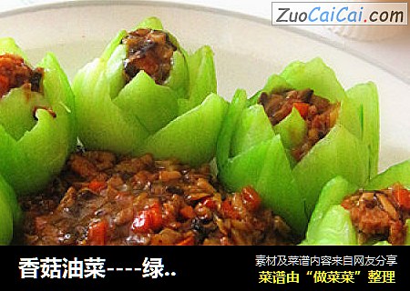 香菇油菜----绿荷漂香
