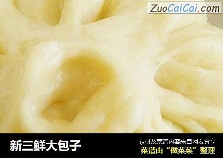 新三鲜大包子