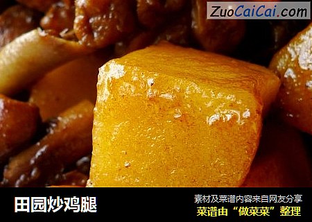 田园炒鸡腿