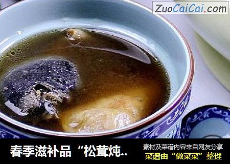 春季滋补品“松茸炖乌鸡”
