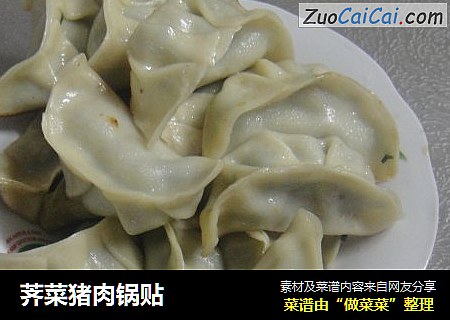荠菜猪肉锅贴