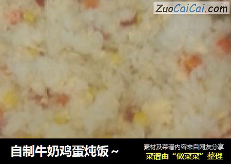 自制牛奶鸡蛋炖饭～