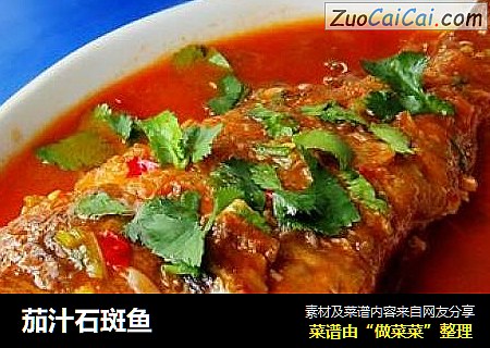 茄汁石斑鱼