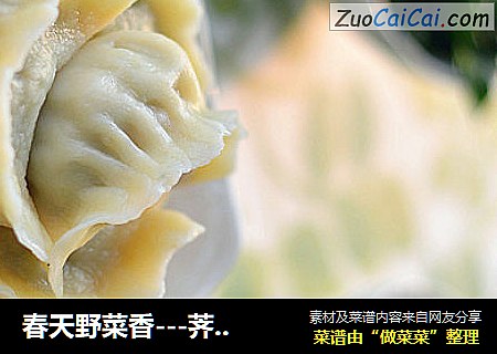 春天野菜香---荠菜水饺