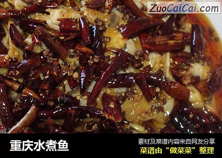 重庆水煮鱼