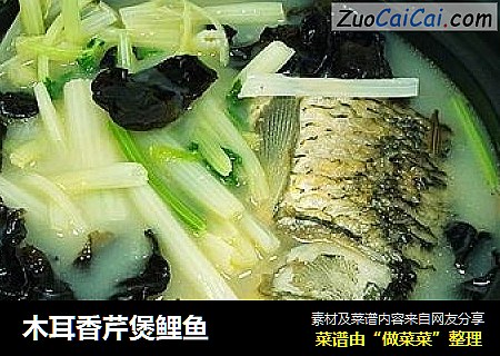 木耳香芹煲鲤鱼