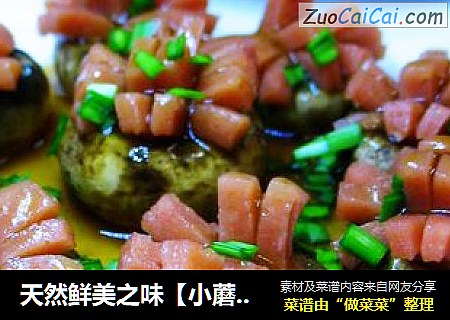 天然鲜美之味［小蘑头］