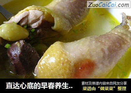 直达心底的早春养生汤－［心灵鸡汤］