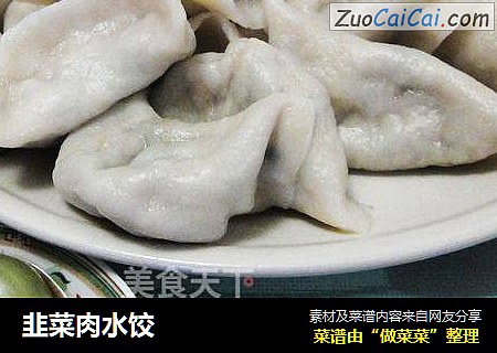 韭菜肉水饺