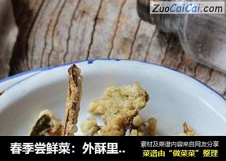 春季尝鲜菜：外酥里嫩---香椿鱼儿