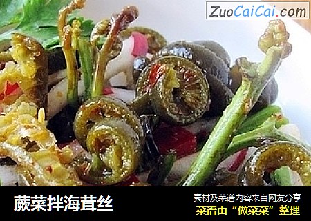 蕨菜拌海茸丝