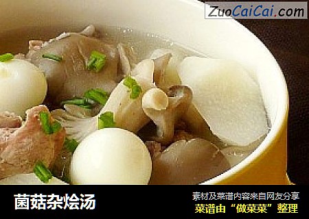 菌菇杂烩汤