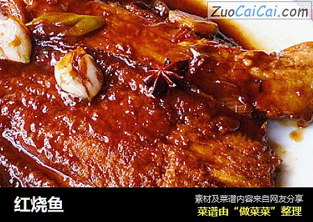 红烧鱼