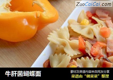 牛肝菌蝴蝶面