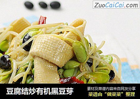 豆腐结炒有机黑豆芽