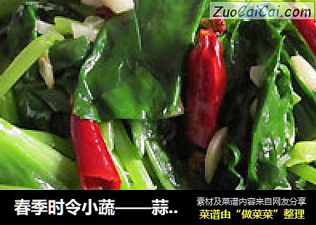 春季时令小蔬——蒜泥鹿耳韭