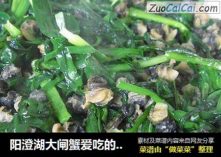 阳澄湖大闸蟹爱吃的螺蛳肉炒韭菜
