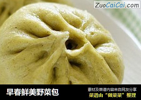 早春鲜美野菜包