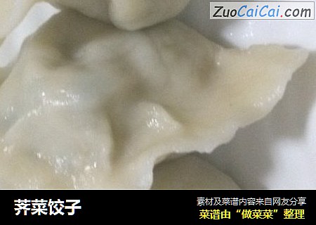 荠菜饺子