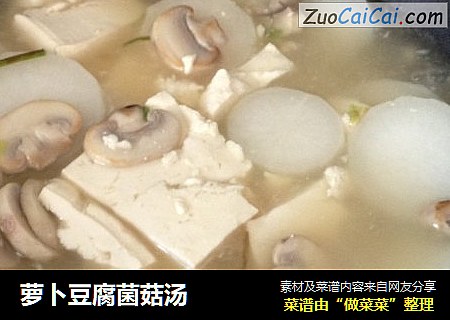 萝卜豆腐菌菇汤