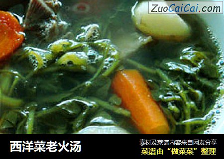 西洋菜老火汤