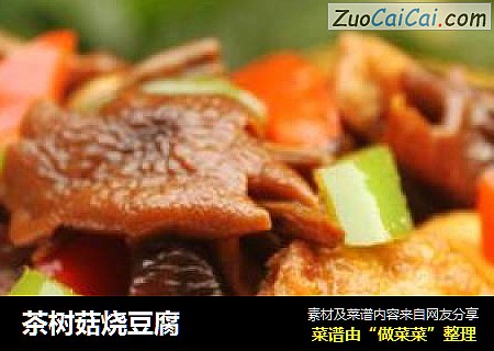 茶树菇烧豆腐