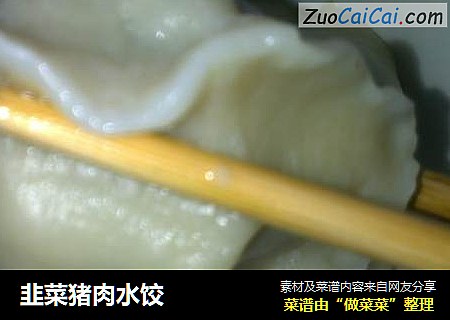 韭菜猪肉水饺