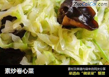 素炒卷心菜