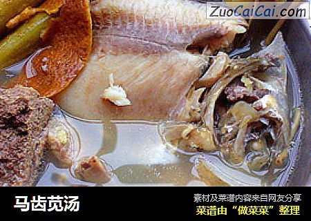 马齿苋汤