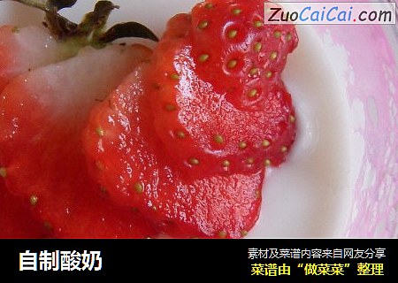 自制酸奶