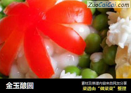 金玉酿圆