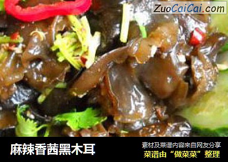 麻辣香茜黑木耳