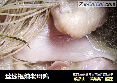 丝线根炖老母鸡