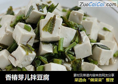 香椿芽儿拌豆腐