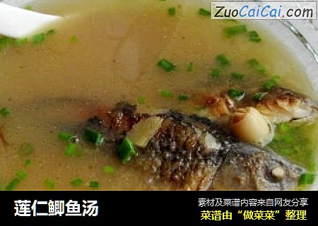 莲仁鲫鱼汤