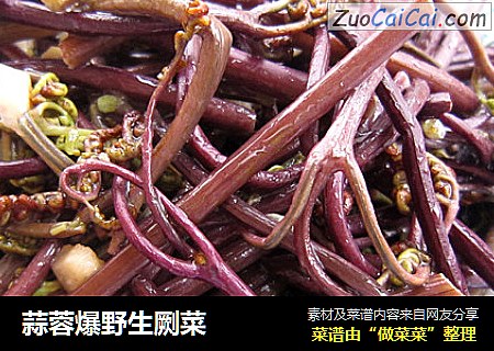 蒜蓉爆野生劂菜