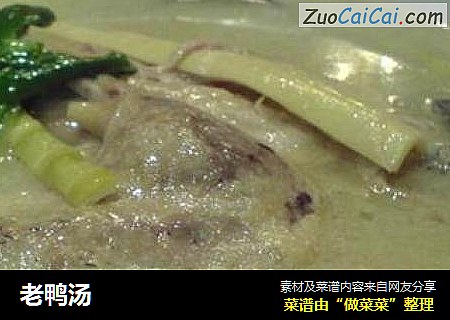 老鸭汤