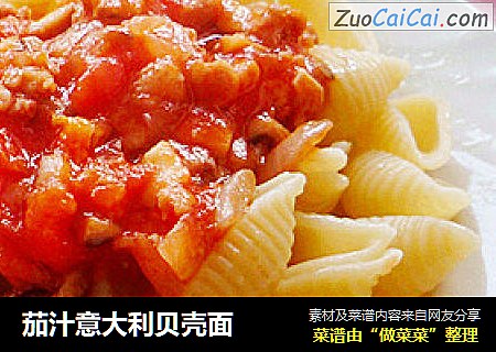 茄汁意大利贝壳面
