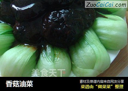 香菇油菜