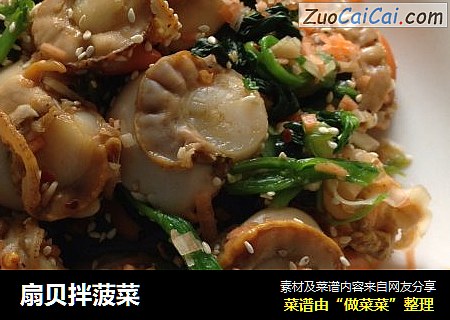 扇贝拌菠菜