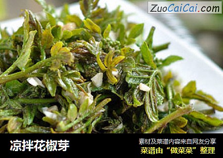 凉拌花椒芽