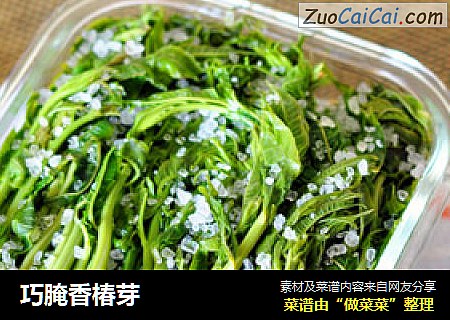 巧腌香椿芽