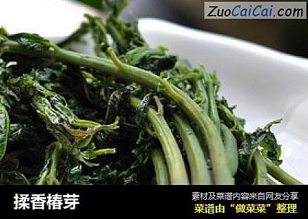 揉香椿芽