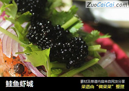 鲑鱼虾城