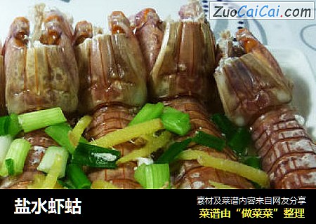 盐水虾蛄