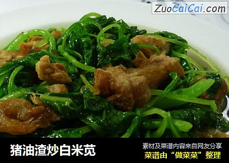 猪油渣炒白米苋