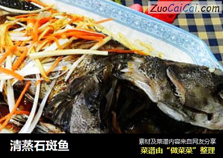 清蒸石斑鱼