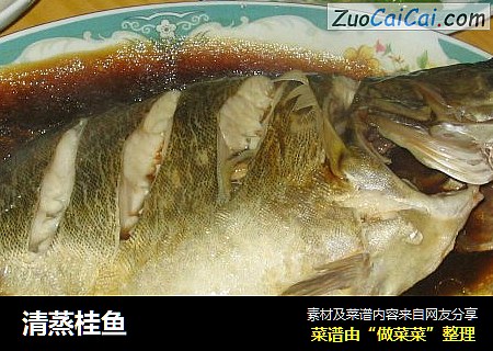 清蒸桂鱼