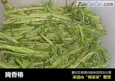 腌香椿