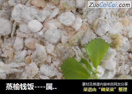 蒸榆钱饭----属于春天的美食